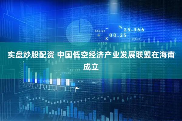 实盘炒股配资 中国低空经济产业发展联盟在海南成立